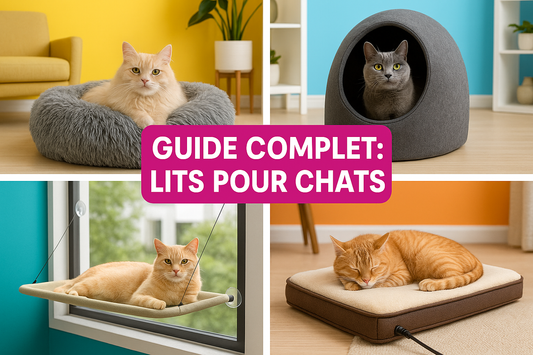 Quel-est-le-meilleur-lit-pour-chat-Le-guide-ultime-pour-bien-choisir CASPER&CO