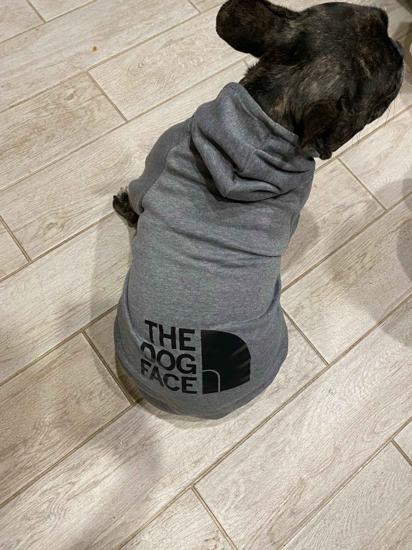 Sweatshirt pour chien The Dog Face - Vêtement chaud et confortable - Tissu doux et extensible - Toutes tailles disponibles - CASPER&CO