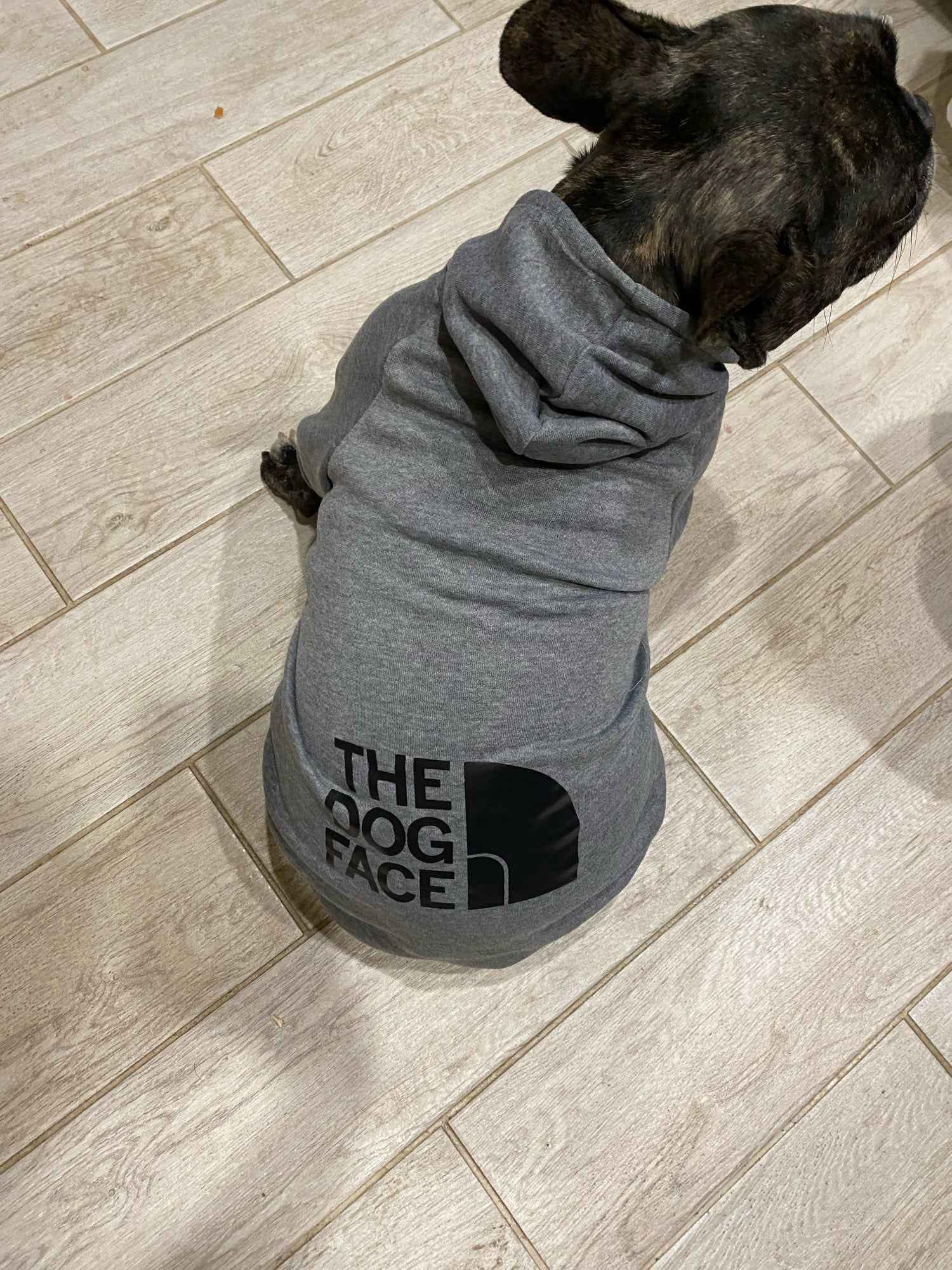 Sweatshirt pour chien The Dog Face - Vêtement chaud et confortable - Tissu doux et extensible - Toutes tailles disponibles - CASPER&CO