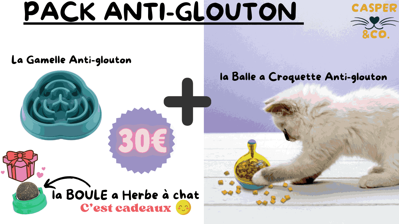Pack chat Anti Glouton