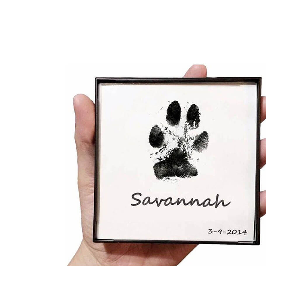 Kit d’Encre pour Empreintes d’Animaux Does not apply