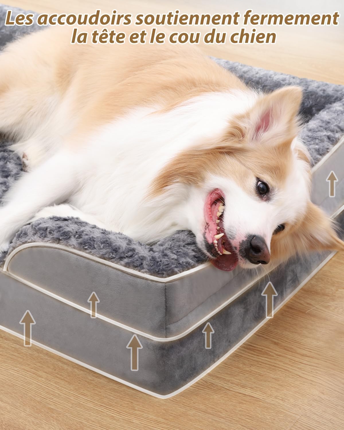 Panier orthopédique pour chien - Mémoire de forme - Soulage les articulations - Housse déhoussable et lavable - CASPER&CO