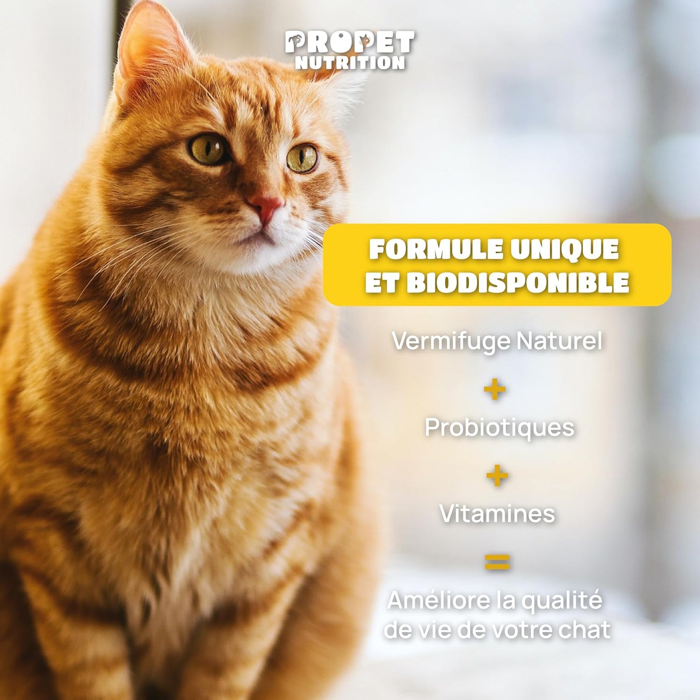 Bénéfices du vermifuge chat naturel - Élimine parasites internes, améliore digestion et renforce flore intestinale - Avec curcuma et gingembre anti-inflammatoires - Pour chats de toutes races - CASPER&CO