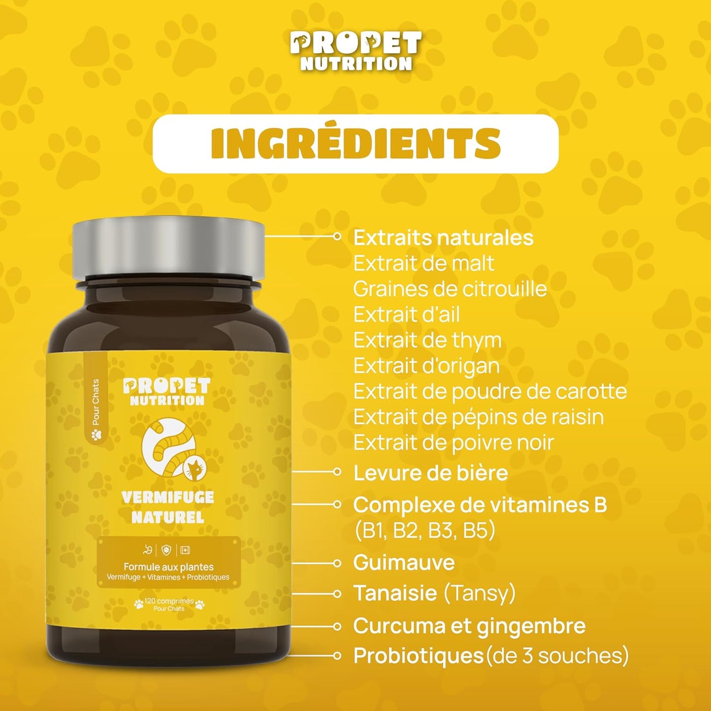 Composition du vermifuge chat naturel - 12 plantes médicinales dont graines de courge, ail et thym - Enrichi en probiotiques et vitamines B pour renforcer l'immunité - CASPER&CO