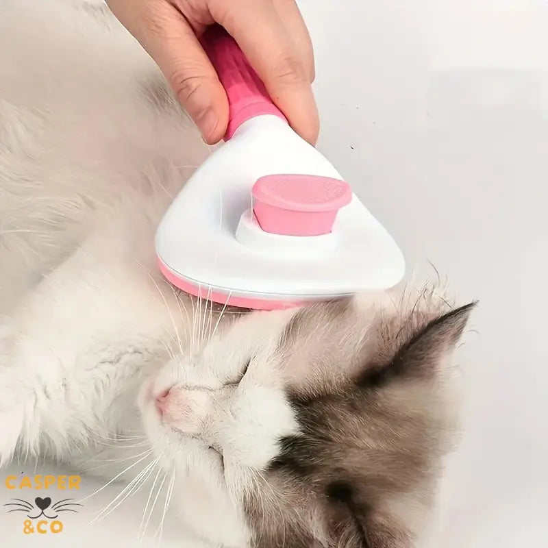 Brosse à poils pour animaux CASPER&CO