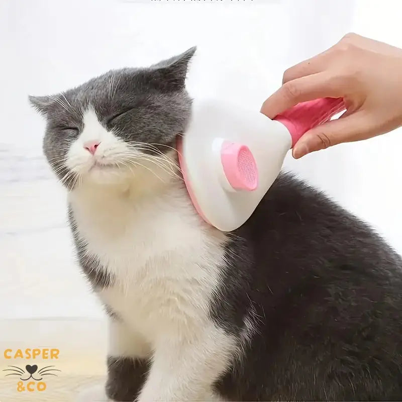 Brosse à poils pour animaux CASPER&CO