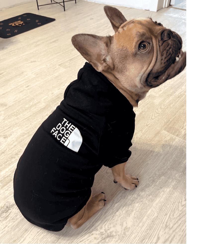 Sweatshirt pour chien The Dog Face - Vêtement chaud et confortable - Tissu doux et extensible - Toutes tailles disponibles - CASPER&CO
