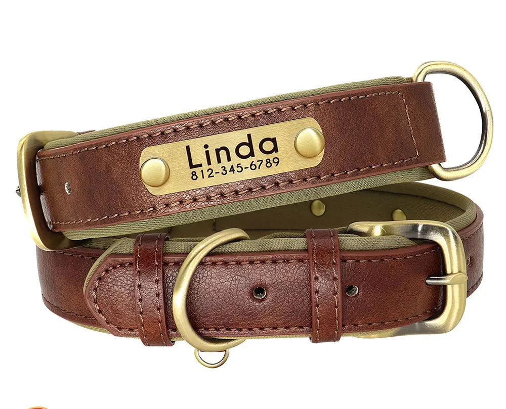 Collier chien en cuir personnalisable - Plaque d'identification gravée - Rembourré et ajustable pour toutes tailles - Accessoire élégant et confortable - CASPER&CO