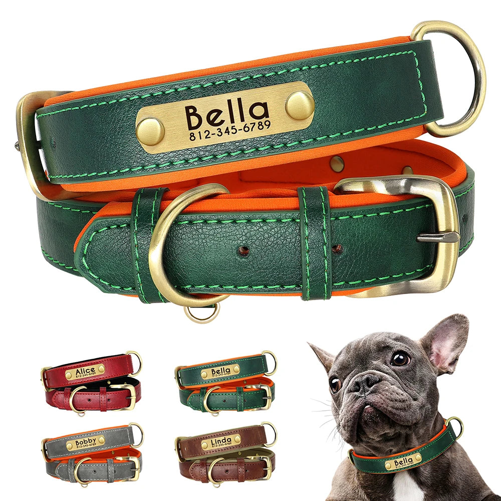 Collier chien en cuir personnalisable - Plaque d'identification gravée - Rembourré et ajustable pour toutes tailles - Accessoire élégant et confortable - CASPER&CO