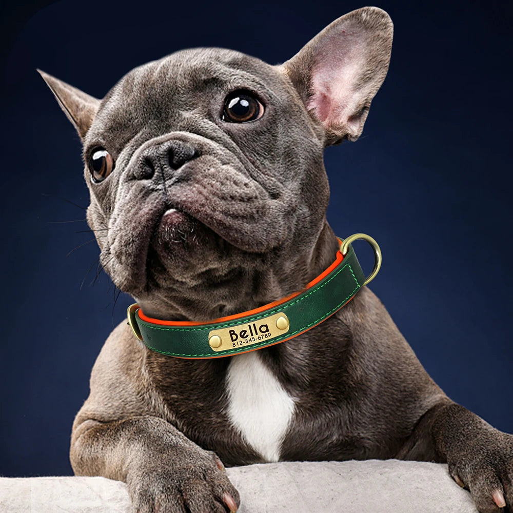 Collier chien en cuir personnalisable - Plaque d'identification gravée - Rembourré et ajustable pour toutes tailles - Accessoire élégant et confortable - CASPER&CO