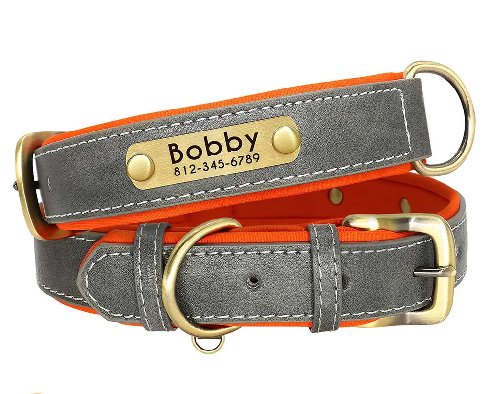 Collier chien en cuir personnalisable - Plaque d'identification gravée - Rembourré et ajustable pour toutes tailles - Accessoire élégant et confortable - CASPER&CO