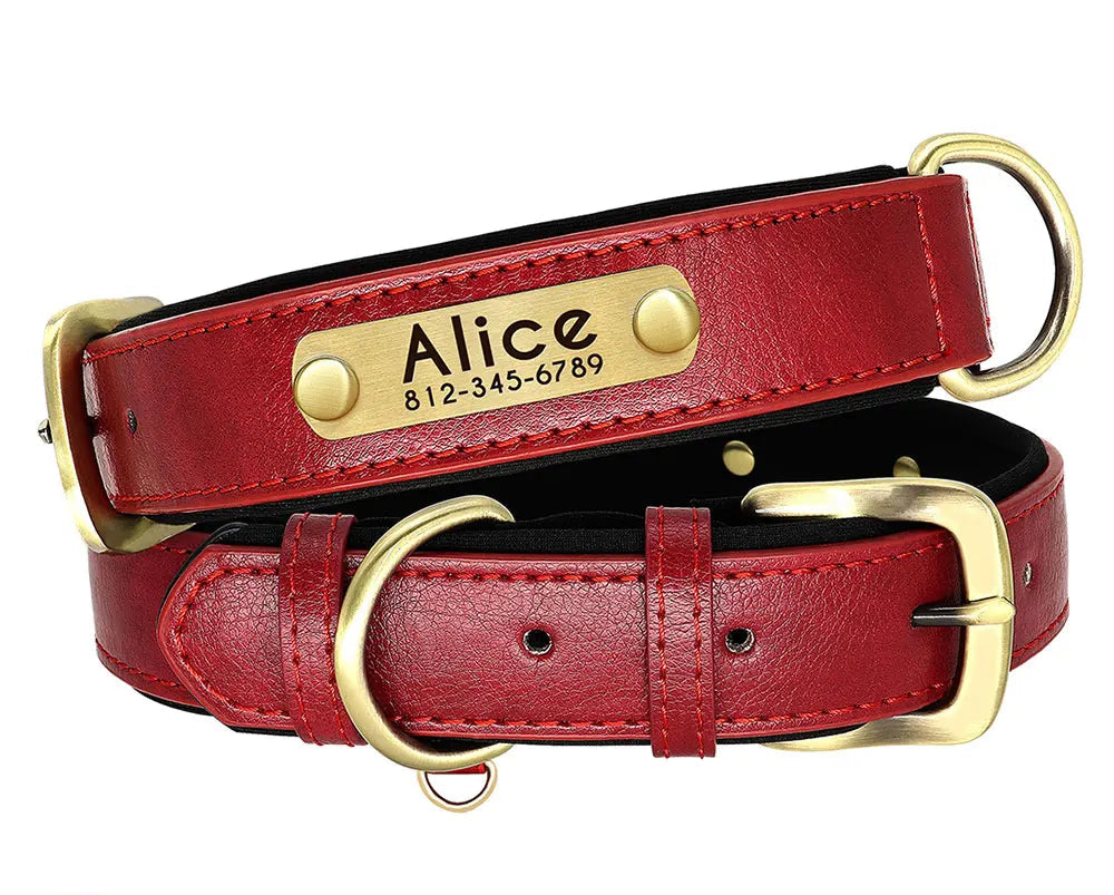 Collier chien en cuir personnalisable - Plaque d'identification gravée - Rembourré et ajustable pour toutes tailles - Accessoire élégant et confortable - CASPER&CO