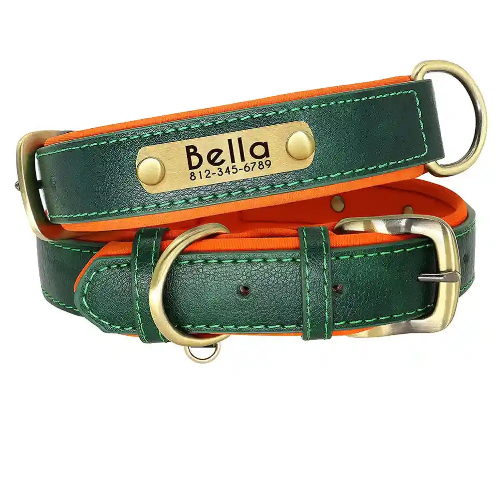 Collier chien en cuir personnalisable - Plaque d'identification gravée - Rembourré et ajustable pour toutes tailles - Accessoire élégant et confortable - CASPER&CO