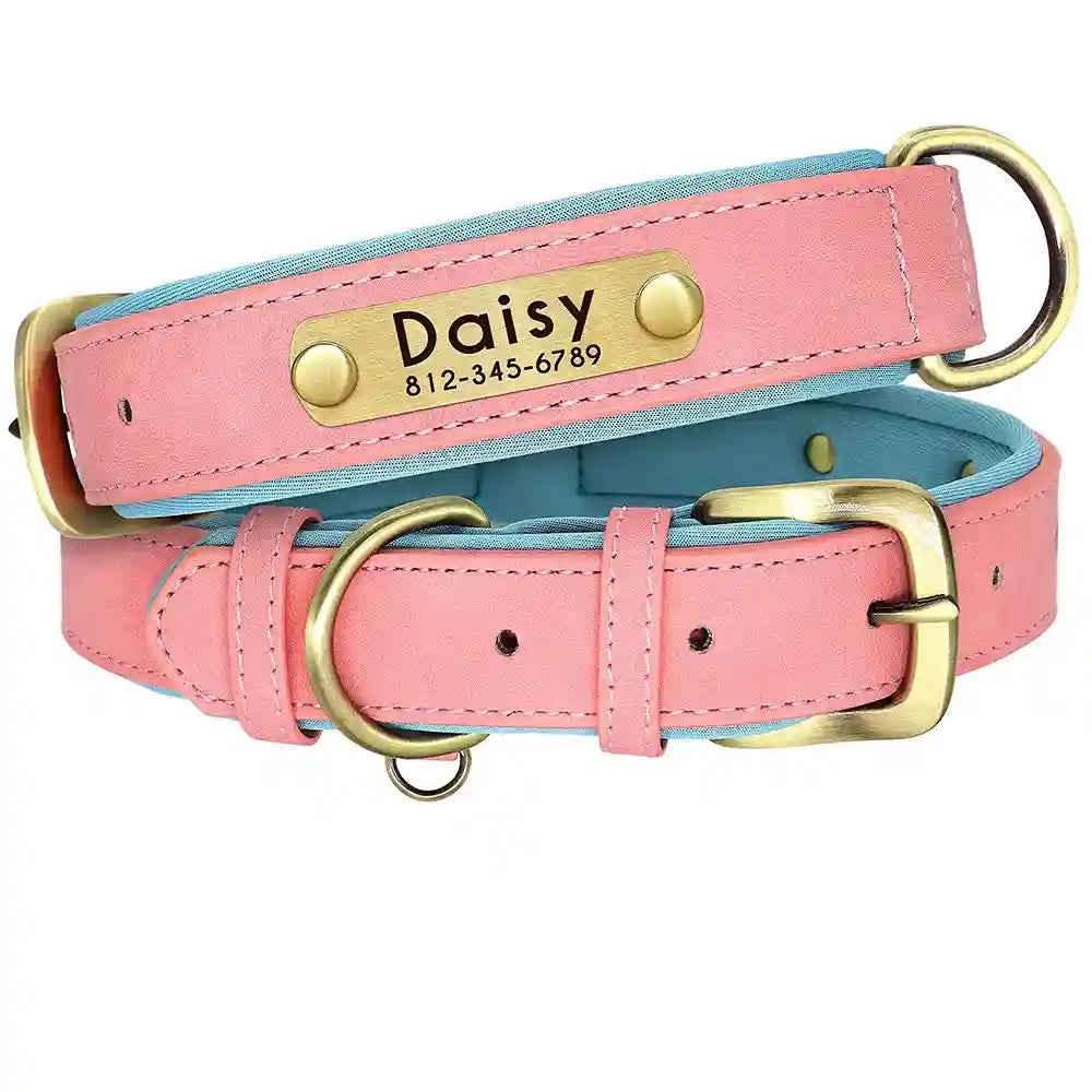 Collier chien en cuir personnalisable - Plaque d'identification gravée - Rembourré et ajustable pour toutes tailles - Accessoire élégant et confortable - CASPER&CO