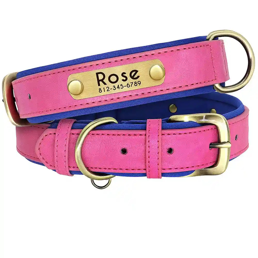 Collier chien en cuir personnalisable - Plaque d'identification gravée - Rembourré et ajustable pour toutes tailles - Accessoire élégant et confortable - CASPER&CO