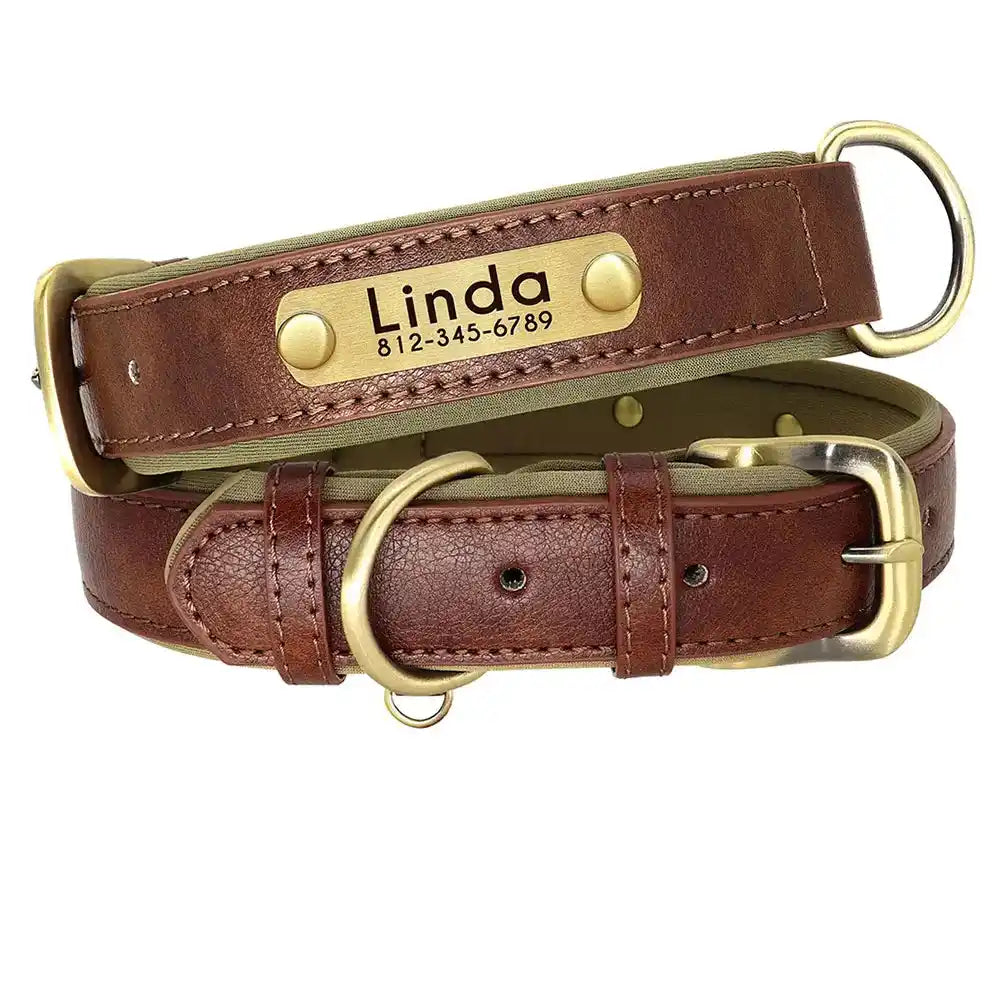 Collier chien en cuir personnalisable - Plaque d'identification gravée - Rembourré et ajustable pour toutes tailles - Accessoire élégant et confortable - CASPER&CO