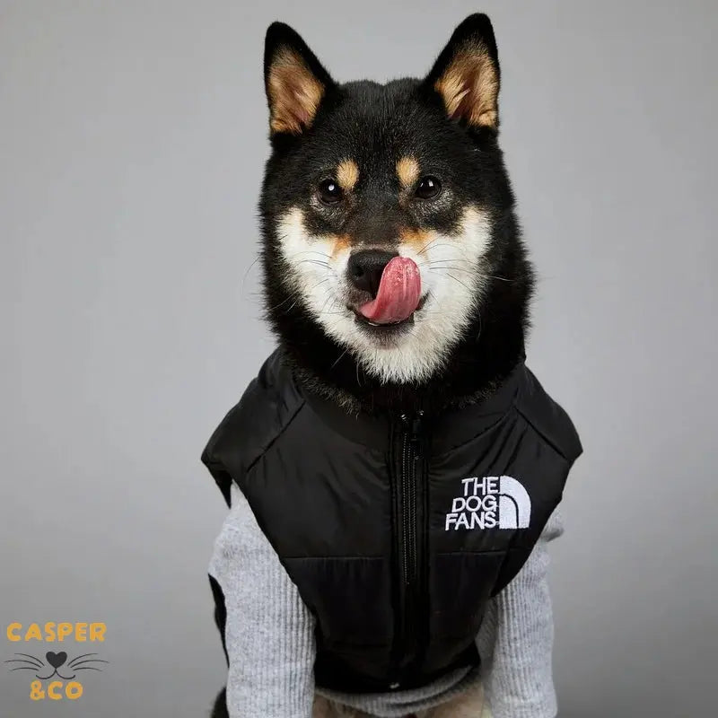 Gilet d'hiver pour chien rembourré