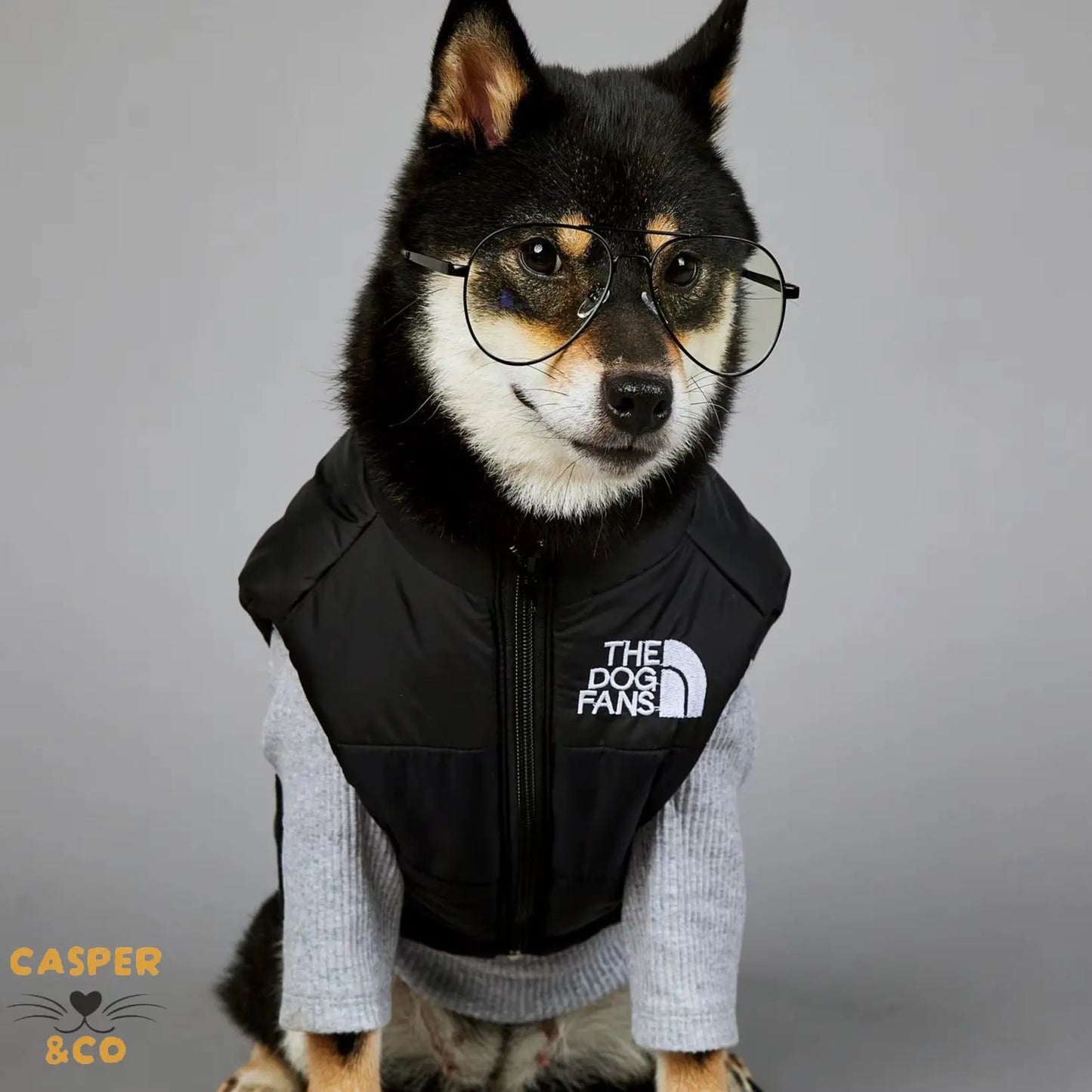 The Dog Face Pet Clothes Dog Polyester down Jacket Winter Dog Vest Padded Warm and Windproof Dog Jacket Small Medium Pets S-5XL