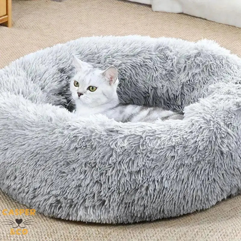 Lit chauffants pour animaux