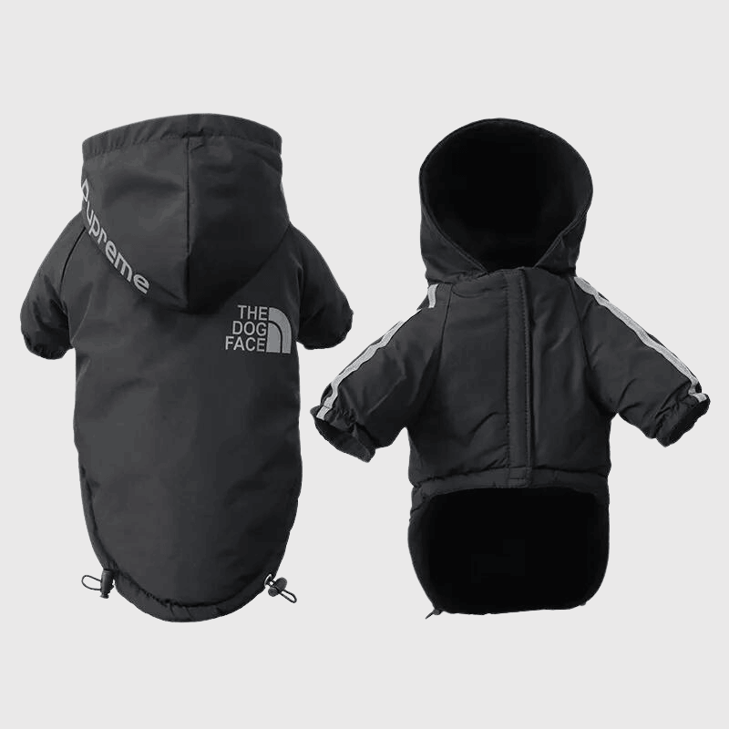 Manteau Imperméable - The Dog Face CASPER&CO