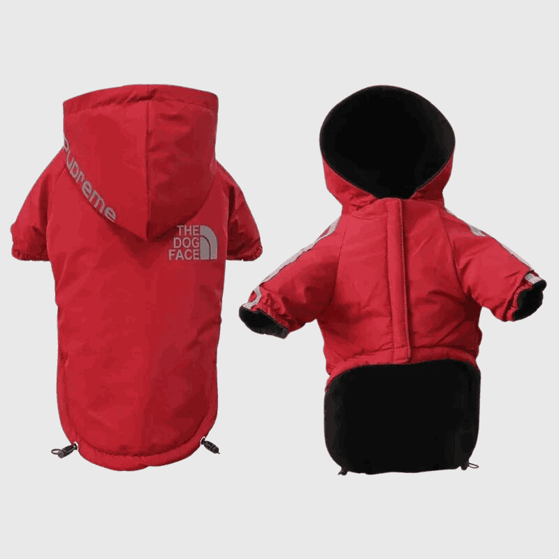 Manteau Imperméable - The Dog Face CASPER&CO