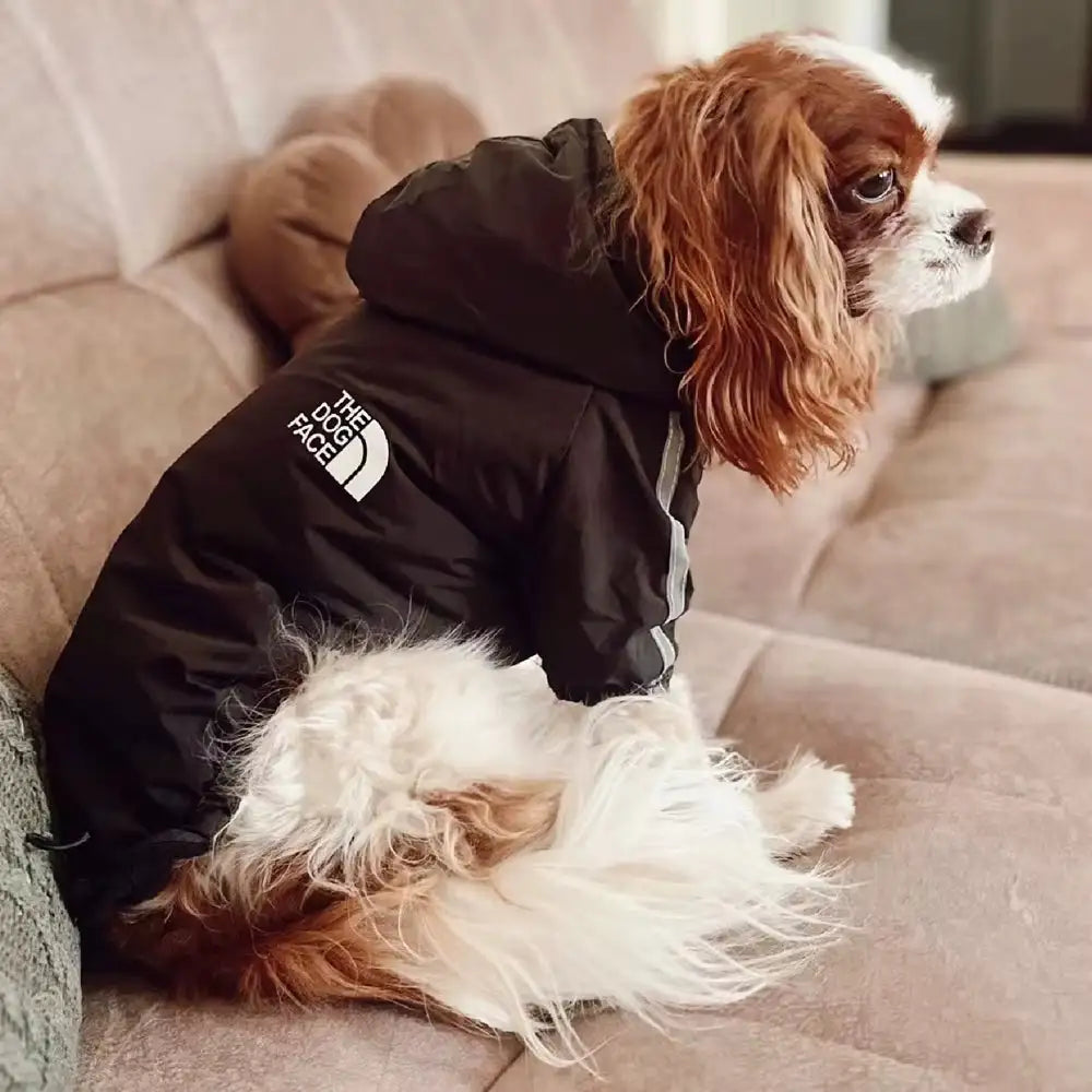 Manteau Imperméable - The Dog Face CASPER&CO