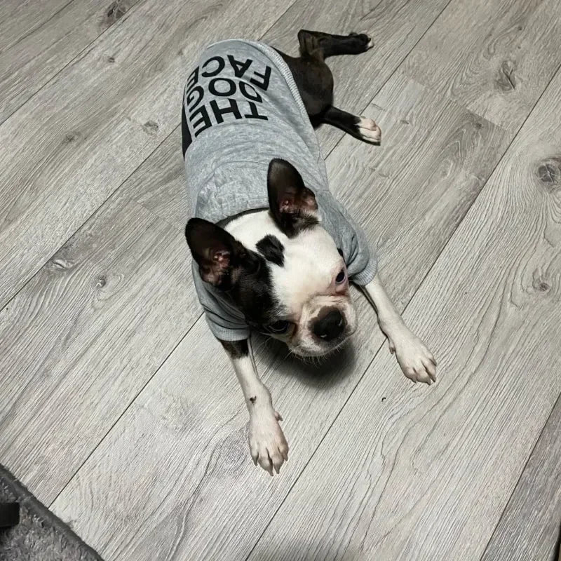Sweatshirt - The Dog Face (eg: Productly)