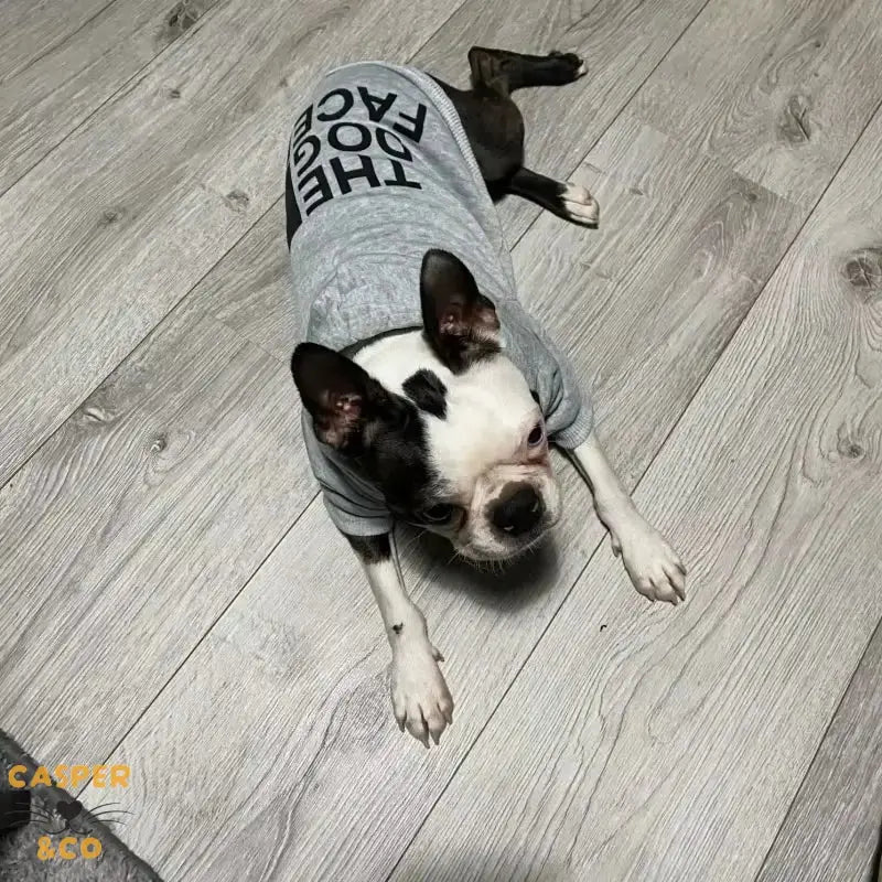 Sweatshirt pour chien The Dog Face - Vêtement chaud et confortable - Tissu doux et extensible - Toutes tailles disponibles - CASPER&CO