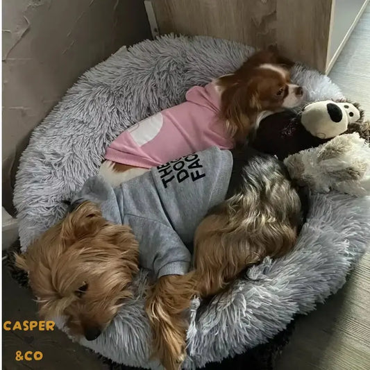 Sweatshirt pour chien The Dog Face - Vêtement chaud et confortable - Tissu doux et extensible - Toutes tailles disponibles - CASPER&CO