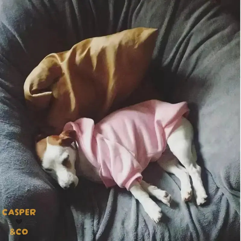 Sweatshirt pour chien The Dog Face - Vêtement chaud et confortable - Tissu doux et extensible - Toutes tailles disponibles - CASPER&CO