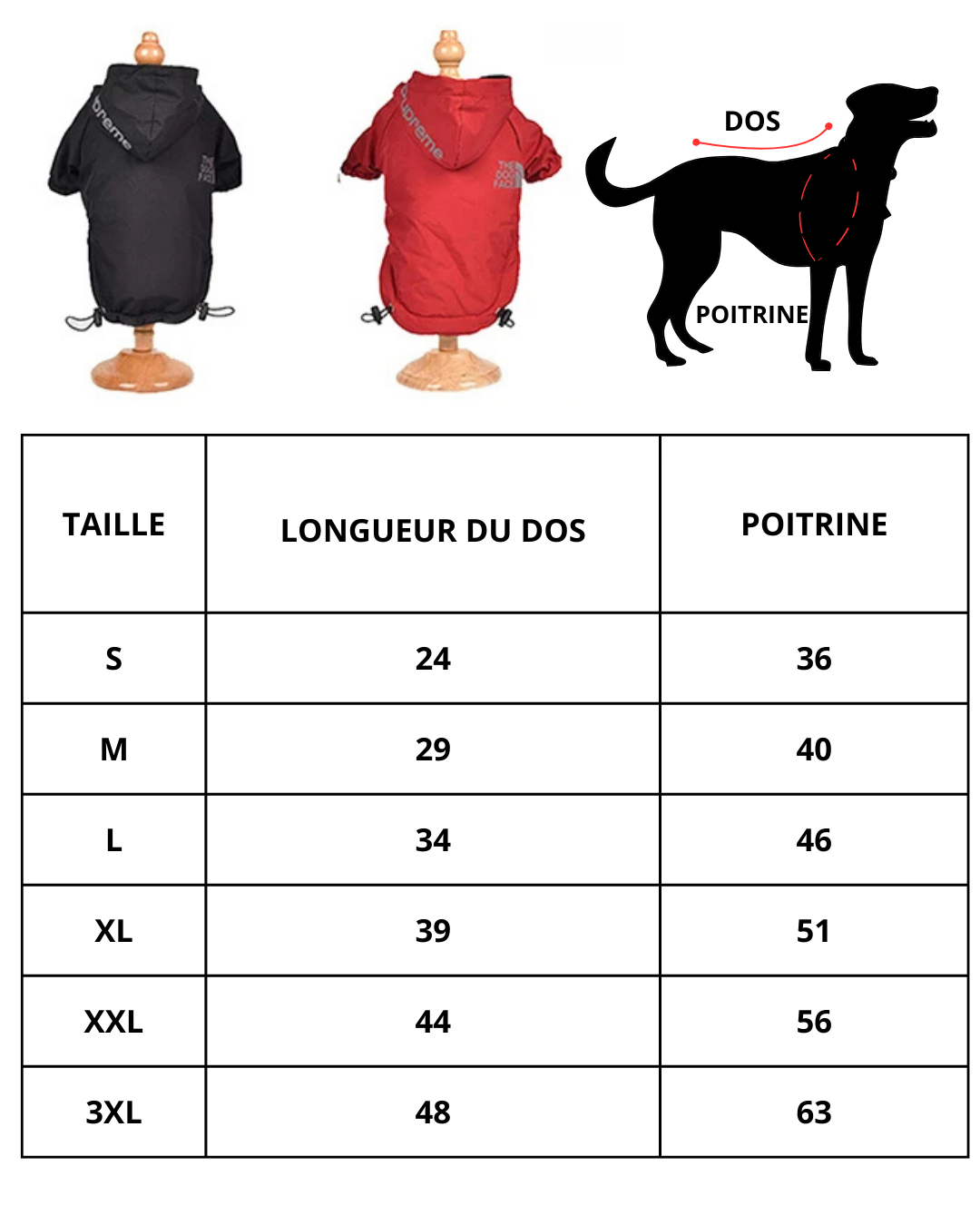 Manteau Imperméable - The Dog Face CASPER&CO