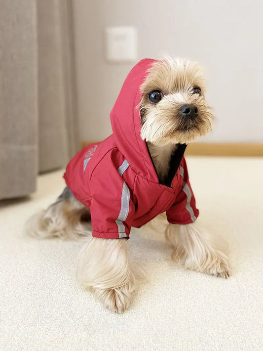 Manteau Imperméable - The Dog Face CASPER&CO