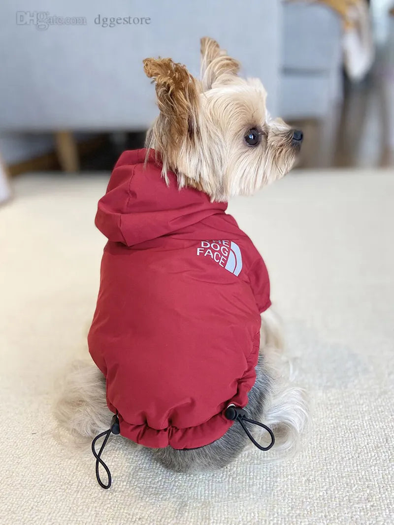 Manteau Imperméable - The Dog Face CASPER&CO
