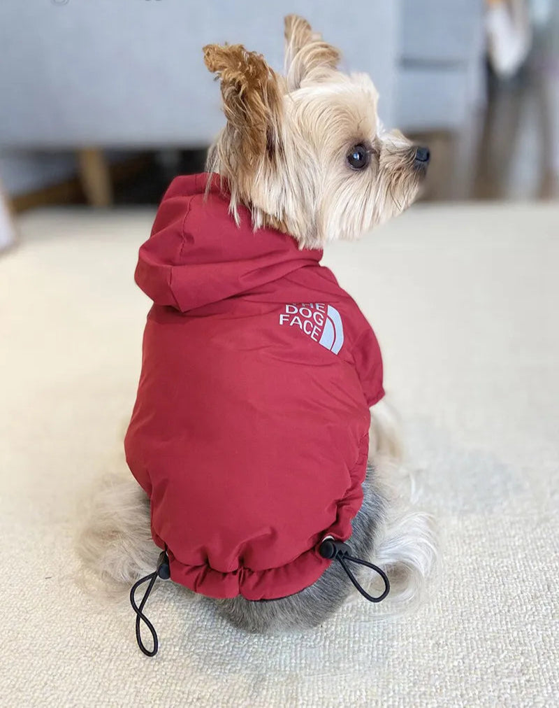 Manteau Imperméable - The Dog Face CASPER&CO