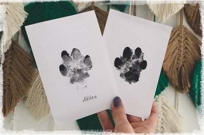 Kit d’Encre pour Empreintes d’Animaux Does not apply