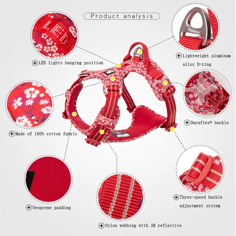 Harnais fleuri collection Truelove - Ajustable et rembourré - Résistant et confortable - Design élégant pour chiens et chats - CASPER&CO