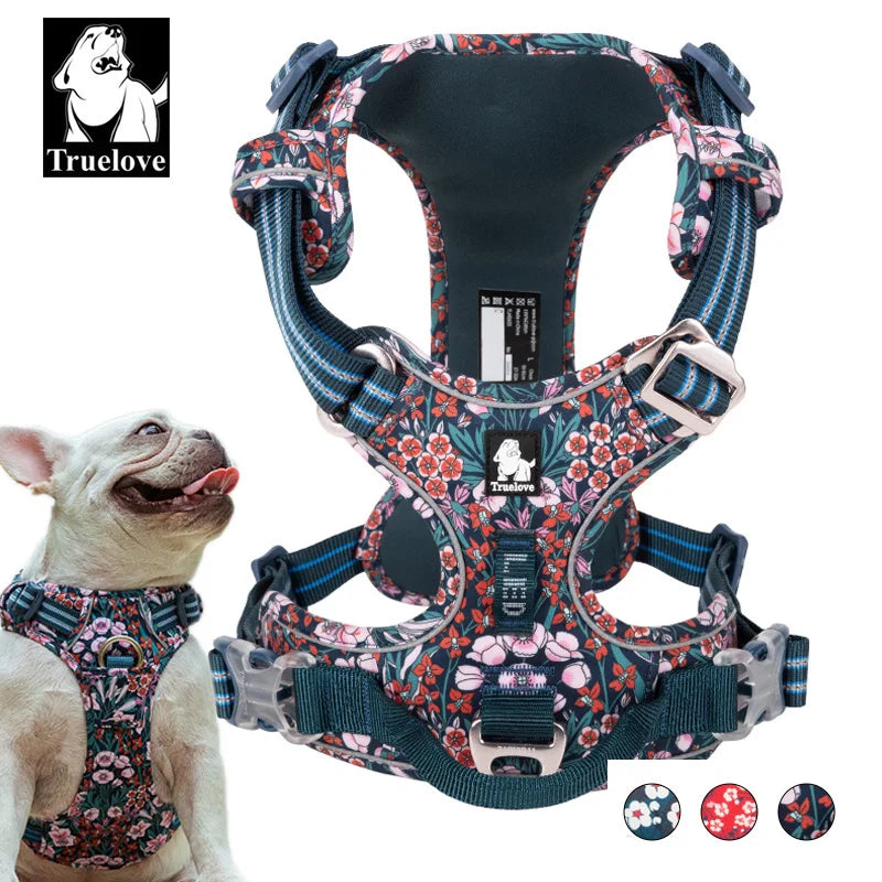Harnais fleuri collection Truelove - Ajustable et rembourré - Résistant et confortable - Design élégant pour chiens et chats - CASPER&CO