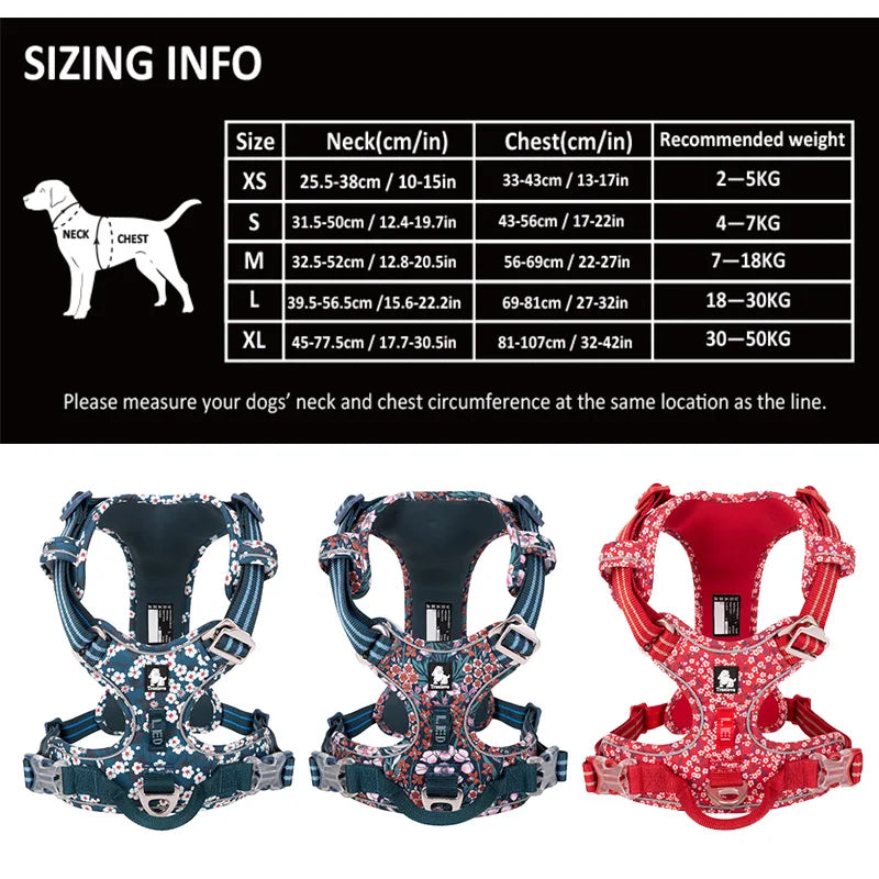 Harnais fleuri collection Truelove - Ajustable et rembourré - Résistant et confortable - Design élégant pour chiens et chats - CASPER&CO