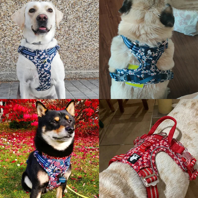 Harnais fleuri collection Truelove - Ajustable et rembourré - Résistant et confortable - Design élégant pour chiens et chats - CASPER&CO