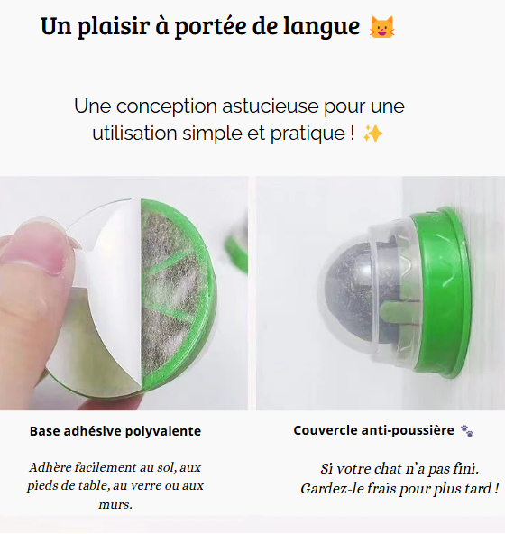 Jouet en forme de boule avec herbe à chat, favorise l'activité