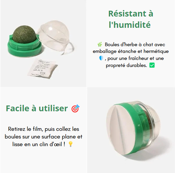 Jouet en forme de boule avec herbe à chat, favorise l'activité