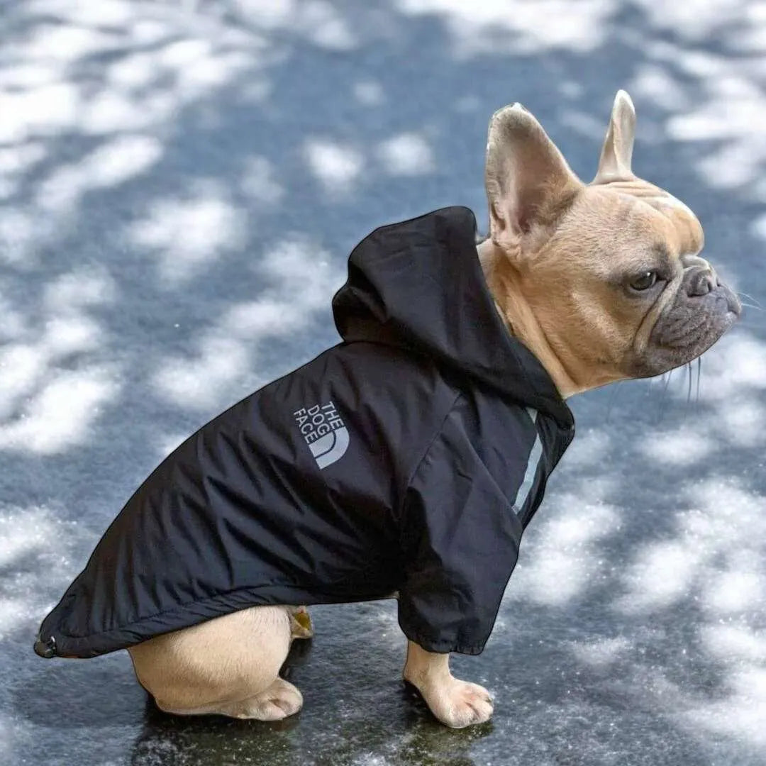 Manteau Imperméable - The Dog Face CASPER&CO
