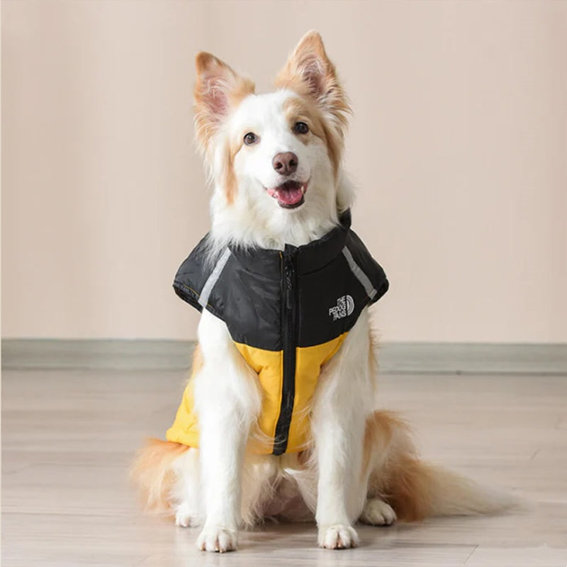 Gilet d'hiver rembourré - The Dog Face CASPER&CO