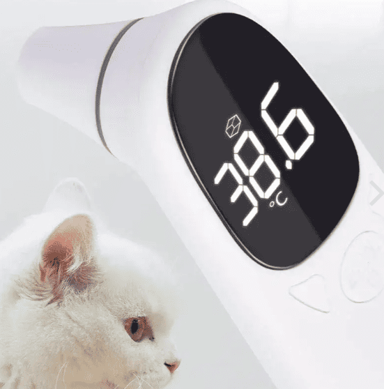 Thermomètre auriculaire infrarouge pour chien et chat CASPER&CO