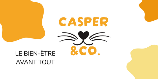À-propos-de-CASPER-CO CASPER&CO
