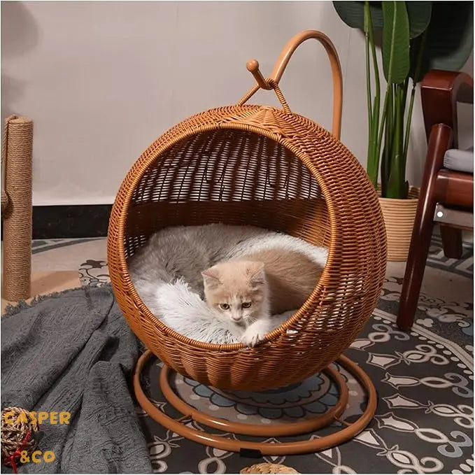 Le Coin Dodo CASPER&CO