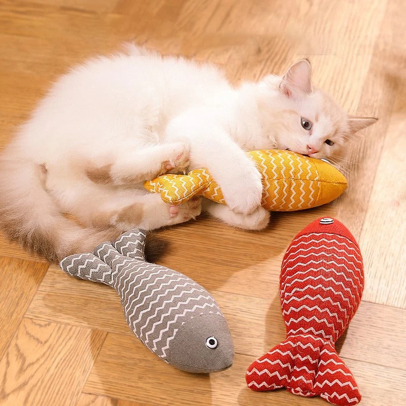 Le moment de jouer 🐱🐾