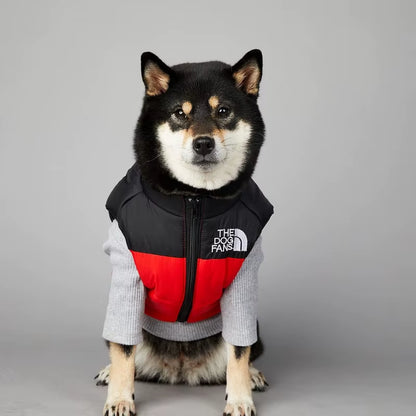 Gilet rembourré pour chien