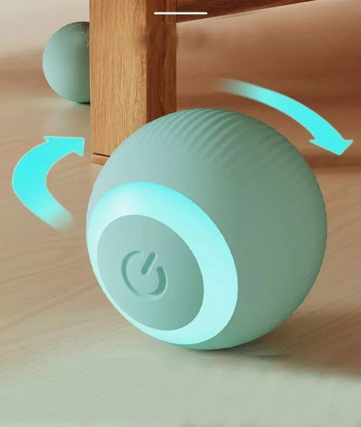 Jouet interactif pour chat, balle rotative rechargeable par USB
