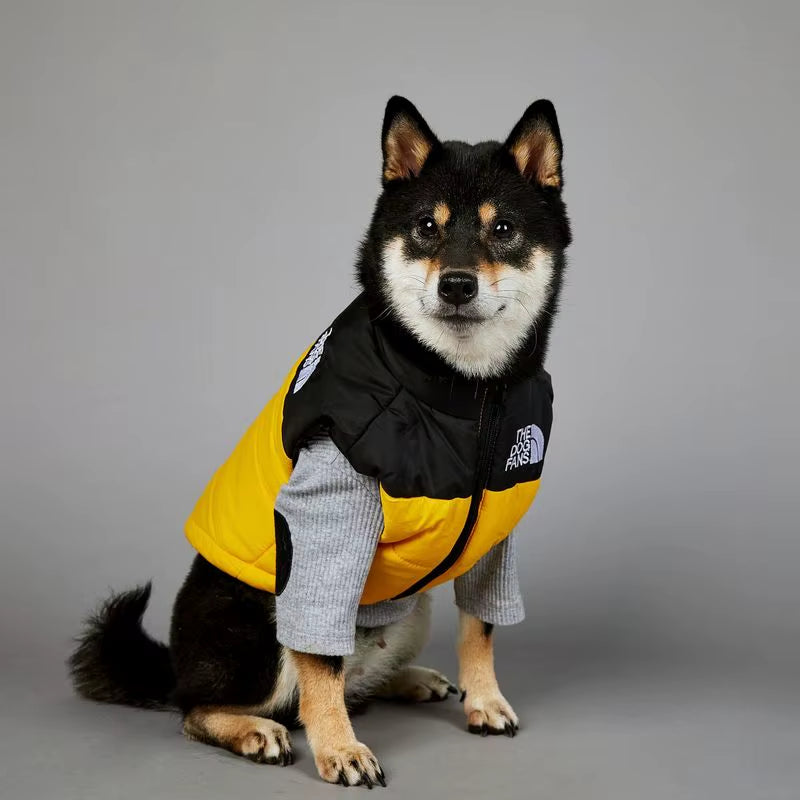 Gilet rembourré pour chien